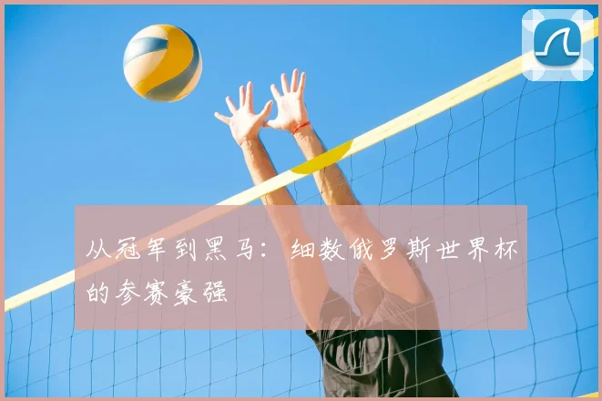 从冠军到黑马：细数俄罗斯世界杯的参赛豪强