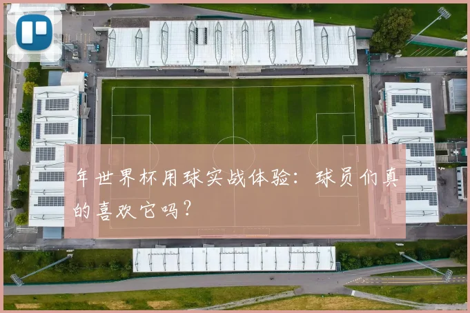 年世界杯用球实战体验：球员们真的喜欢它吗？