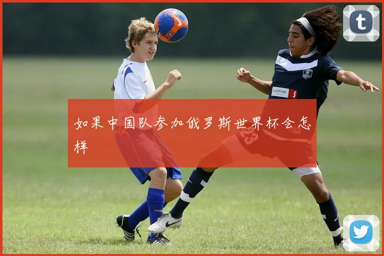 如果中国队参加俄罗斯世界杯会怎样
