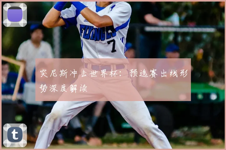突尼斯冲击世界杯:预选赛出线形势深度解读