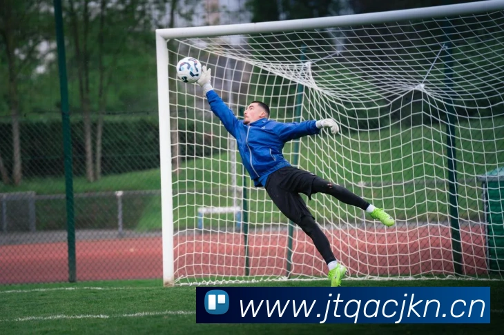 星空在线登录官网平台生态图